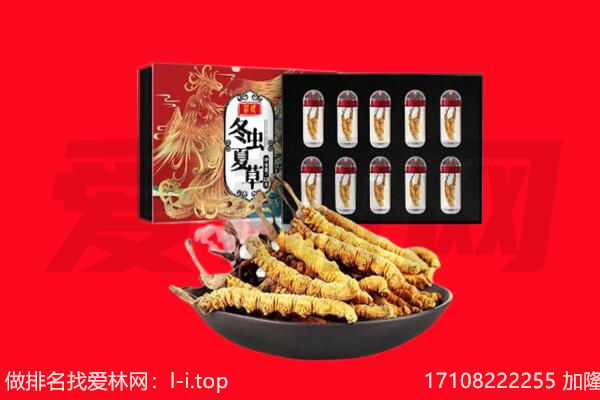 大祥区回收虫草.jpg